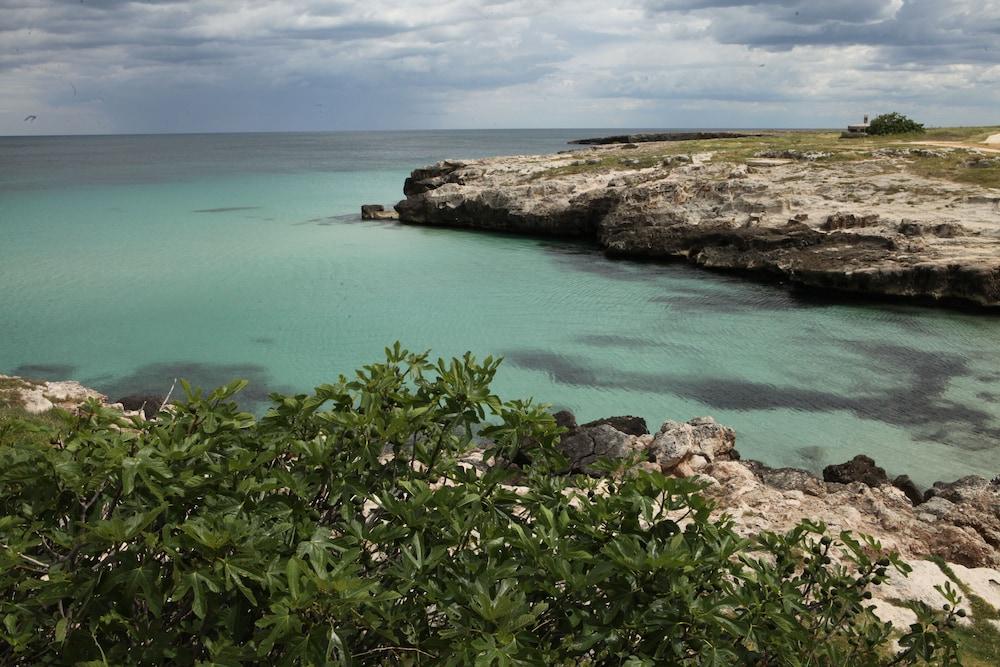 Playa Del Mar - Adults Only Bed & Breakfast Monopoli Exterior foto