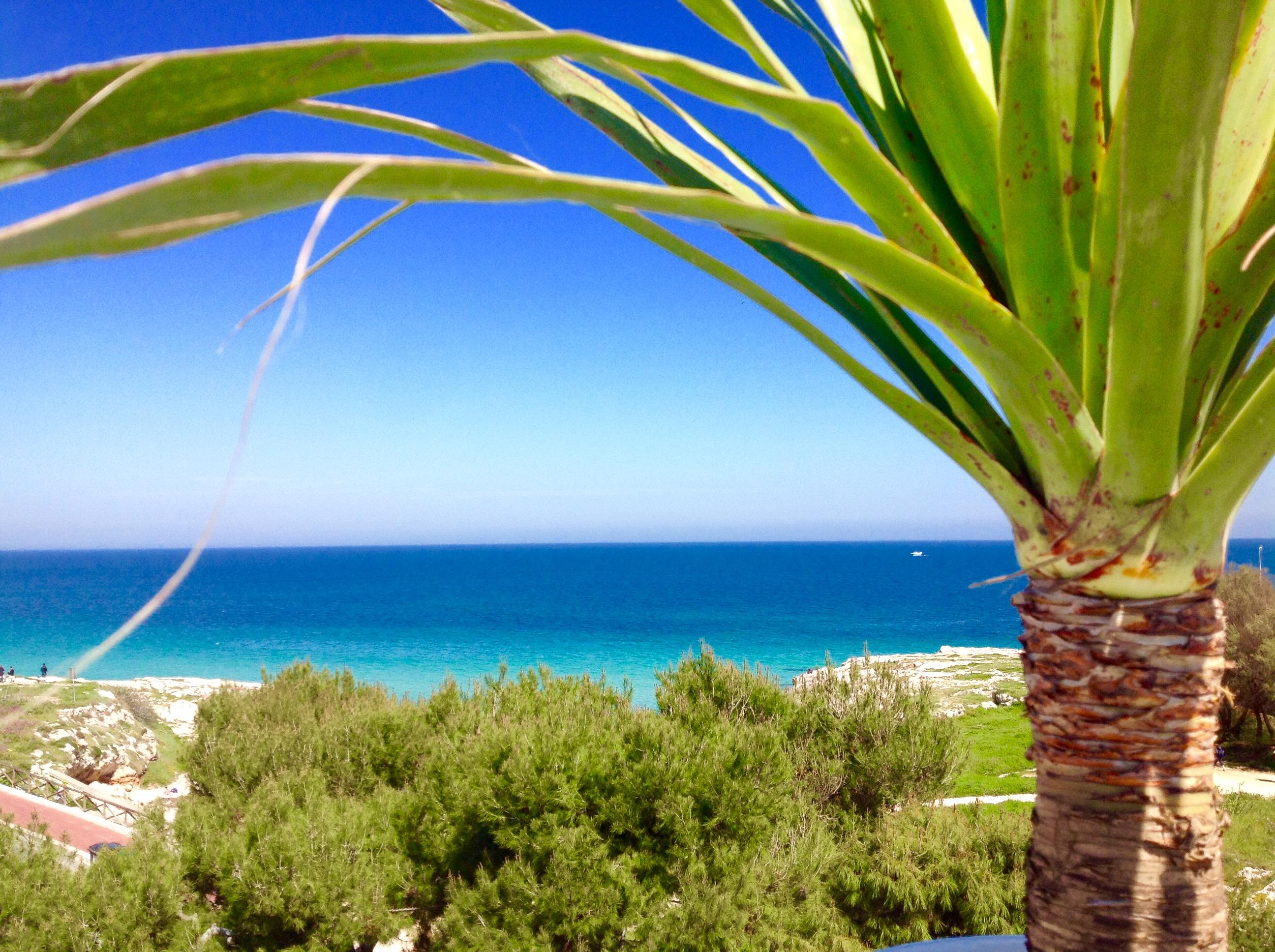 Playa Del Mar - Adults Only Bed & Breakfast Monopoli Exterior foto
