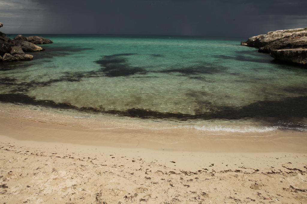 Playa Del Mar - Adults Only Bed & Breakfast Monopoli Exterior foto