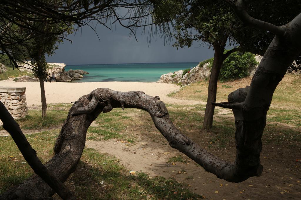 Playa Del Mar - Adults Only Bed & Breakfast Monopoli Exterior foto