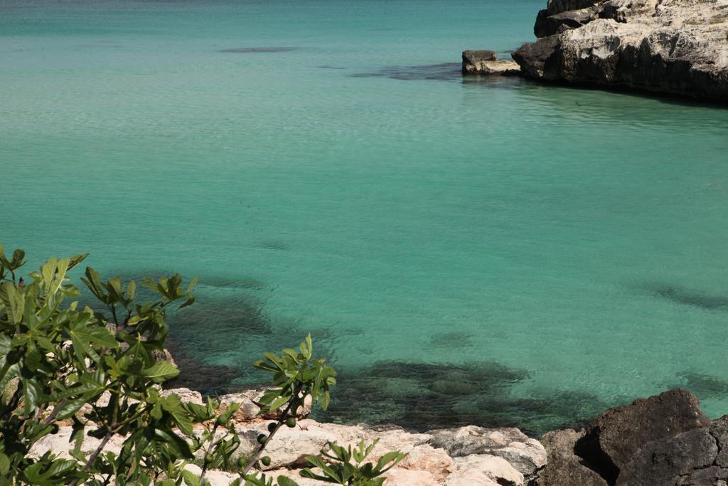 Playa Del Mar - Adults Only Bed & Breakfast Monopoli Exterior foto