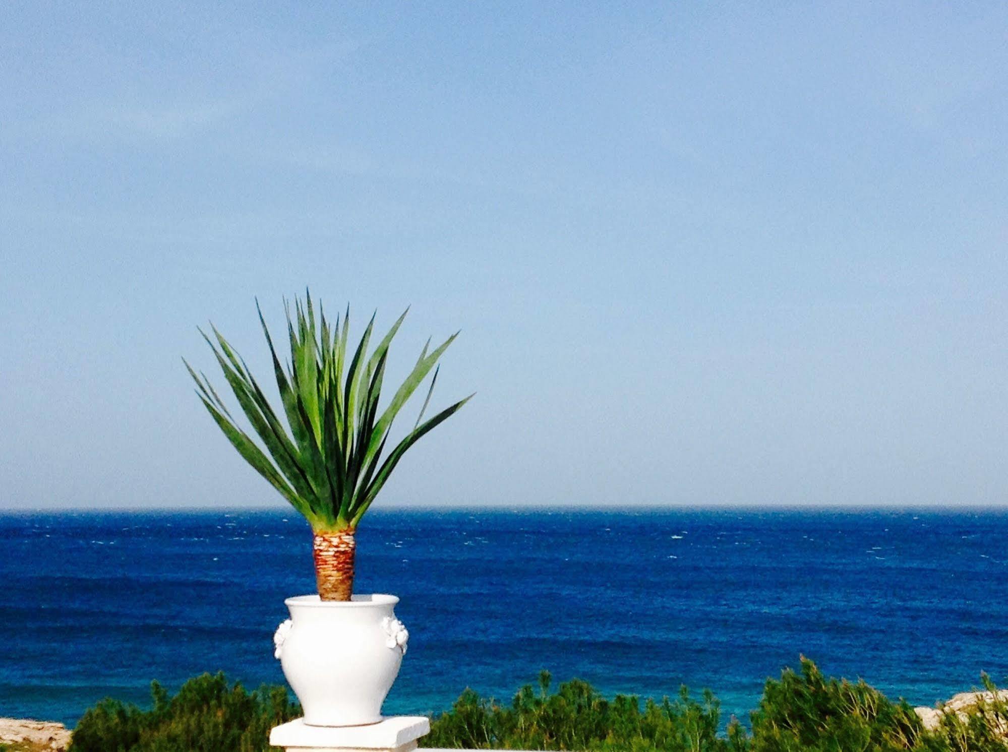 Playa Del Mar - Adults Only Bed & Breakfast Monopoli Exterior foto